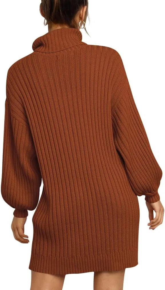 ANRABESS Women Oversized Sweater Dress Turtleneck Batwing Long Sleeve Ribbed Knit Loose 2025 Fall Winter Casual Short Dress