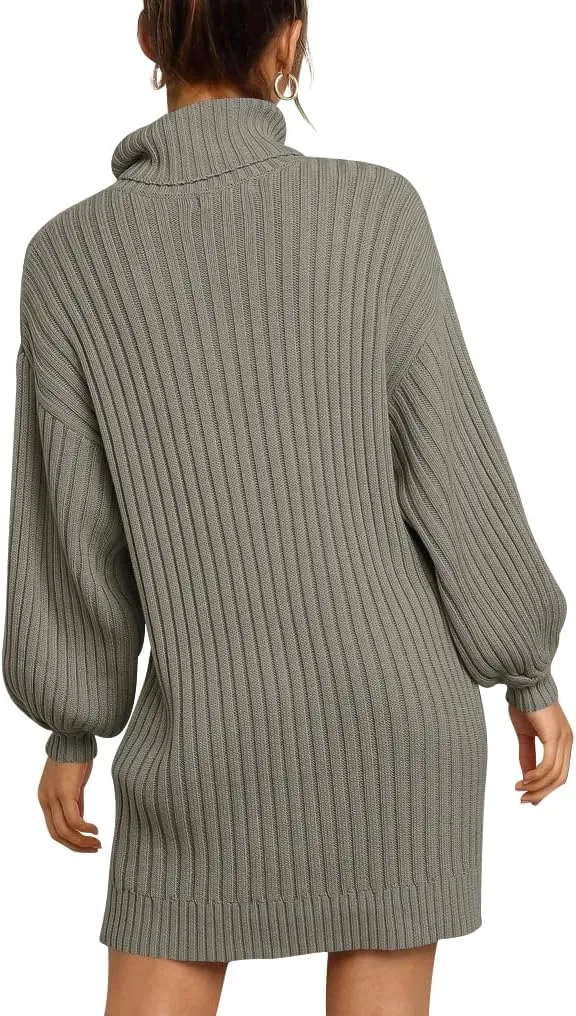 ANRABESS Women Oversized Sweater Dress Turtleneck Batwing Long Sleeve Ribbed Knit Loose 2025 Fall Winter Casual Short Dress